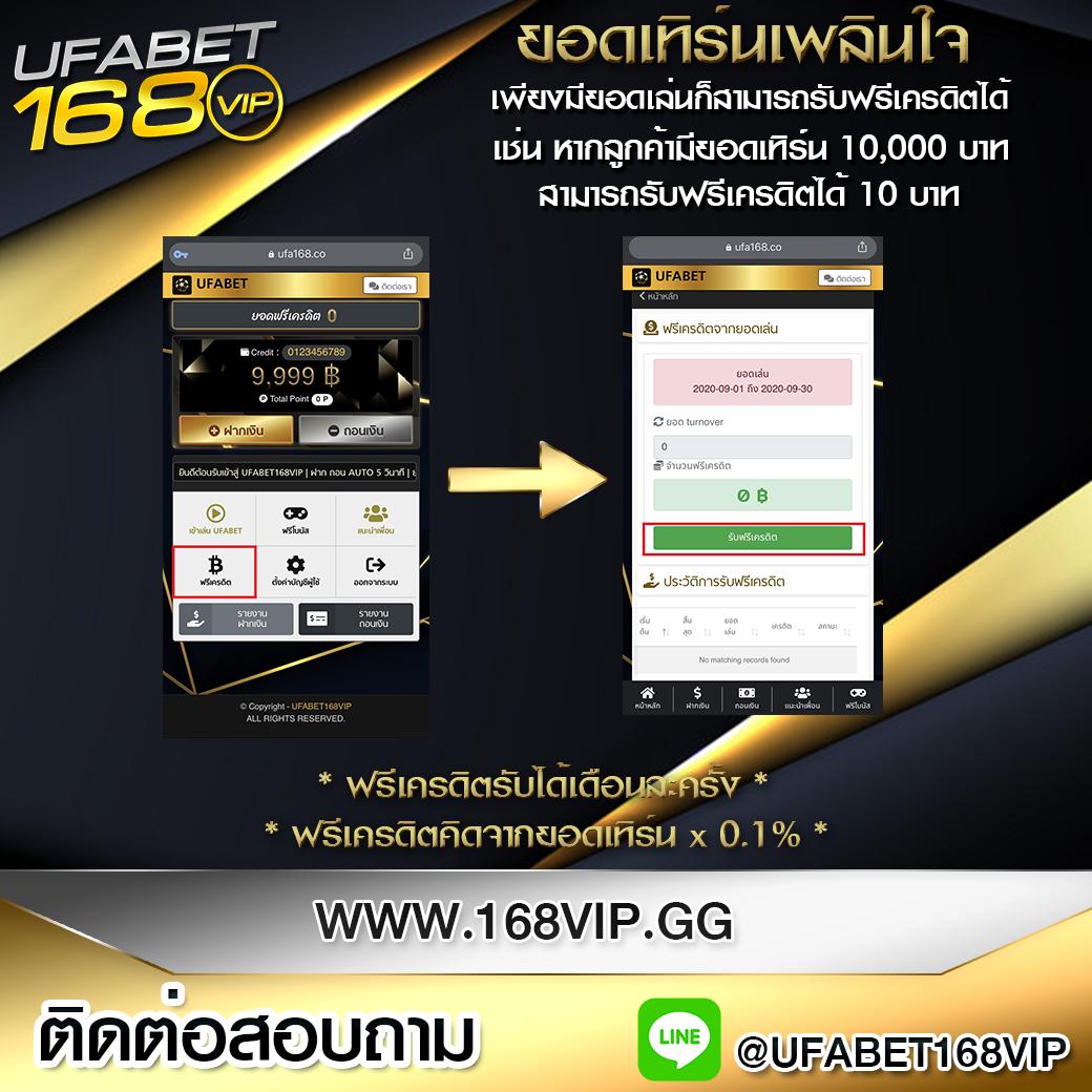 เข้าสู่ระบบ Cat8888 หวยออนไลน์ มั่นใจ ระบบใหม่ล่าสุด 2024